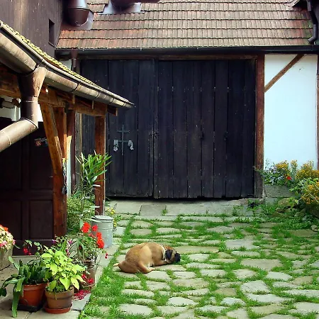 Benesov Nad Cernou By Interhome *