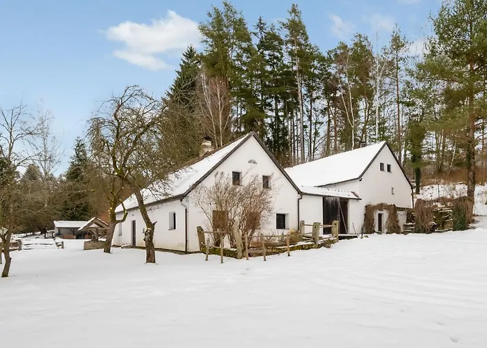 Benesov Nad Cernou By Interhome